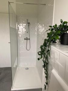 Appartement avec terrasse, proche des 1000 étangs, chapelle Le Corbusier