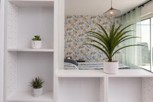 Appartements Studio Proche Port Terrasse et Wifi : photos des chambres