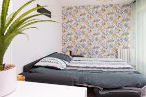 Appartements Studio Proche Port Terrasse et Wifi : photos des chambres