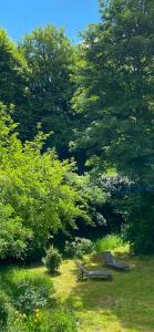 Maisons de vacances Moulin Grand, entire accommodation, 2br park river : photos des chambres