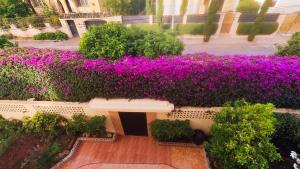 No21 Loulan Villa21号别墅民宿