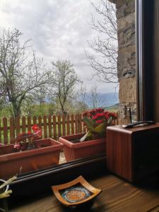 Къщата на музиканта