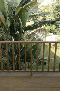 Private home in Panglao near white beaches with 600 Mbps WiFi & Solar