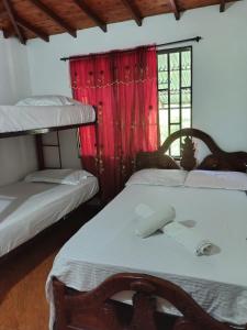 Casa Viva