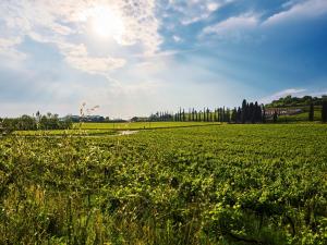 Casa Vittoria-Relax tra Lago di Garda e Verona