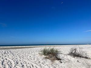 Sun and fun! Adorable 1 bedroom condo on the beach