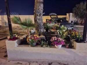 Appartements Zen et cosy : Appartement 1 Chambre