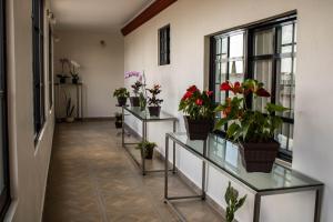 Mansion de los Abuelos