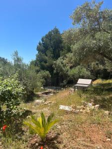 Villas Maison Lei Tapenie : photos des chambres