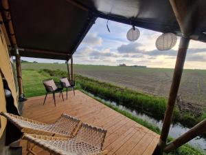 Glamping Safaritent 4 persoons