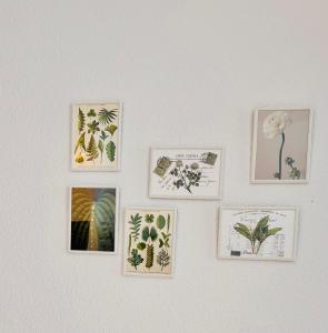 VerdeAgua Cantabria con Piscina