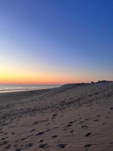 Campings Le Spot Saint-Trojan : Chambre Double Standard