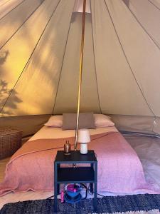 Campings Le Spot Saint-Trojan : photos des chambres