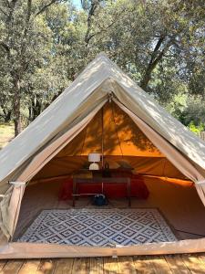 Campings Le Spot Saint-Trojan : photos des chambres