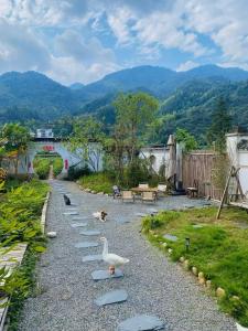 Nature Cure Village Lodge-婺源自在舍