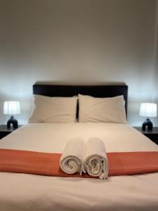 Amazing Comfortable Gem by AwsHost