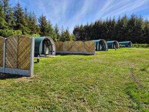 Forth Mountain Glamping