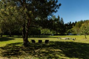 Camping skansen Zdbice - domek letniskowy 2