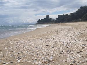 Relax e mare vicino al Cerrano