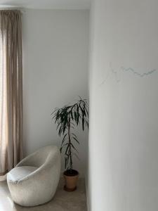 New and air-conditioned cocoon