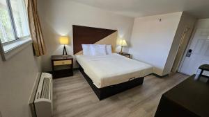 King Studio room in Budget Inn