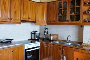 Villa - Panoramic View of Vjosa River - 3hvězdičkové hotely ve městě Tepelenë