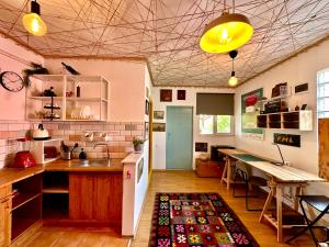 Casa cu Smochin | House with the fig