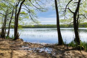 Domki-SkansenZdbice - domek letniskowy 3