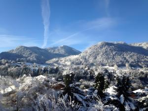 Chalets Chalet la Perle : photos des chambres
