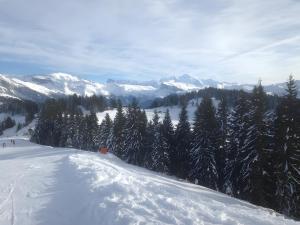 Chalets Chalet la Perle : photos des chambres