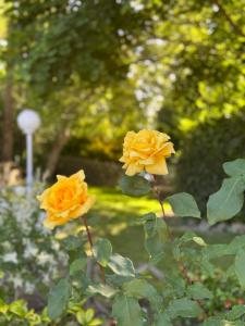 Hôtel de l Héritage