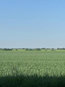 Hôtel de l Héritage