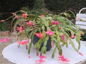 Departamentos Virgen del Cerro