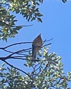 B&B / Chambres d'hotes Villa Vallaury : photos des chambres