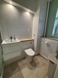Newly renovated 2 bedroom in Central London with garden