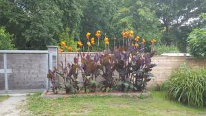"Chambres dHôtes" Bord de Rance Au Rez-de-Jardin de la "Villa Cyrano"