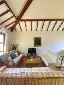 Ocean Loft - Surf & Serenity Retreat