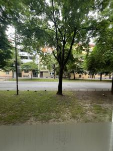 Apartman ulica Maksima Gorkog Centar