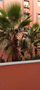 Bel appartement Marrakech