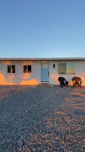 Nintendo64, Arcade, DVD, Telescope, HotTub