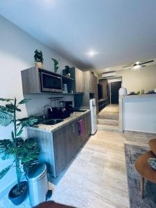 Luxurious studio, Playa del Carmen