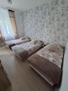 Appartements Au Bord de L-Eau : Appartement 1 Chambre