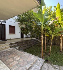 Appartamento Limoncello