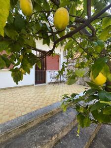Appartamento Limoncello