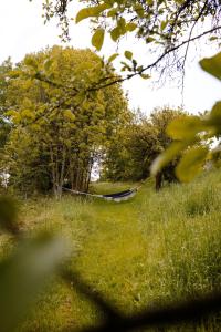 Dwie Brzozy wegetariańskie siedlisko