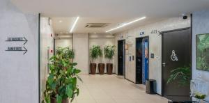 ibis Sao Luis
