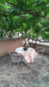 Studio Apartman Vodice Croatia