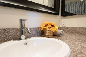 Modern Escape in Hollywood with Rooftop & City Views