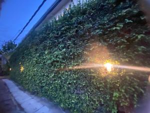 SH Hotel Kuta- 20 Second to the Beach by Micky Studio