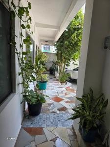 Blvd2rec - Strutture non classificate a Cedro